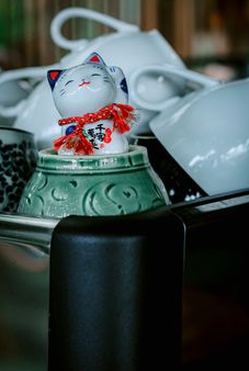 mẹo tham khảo ý kiến cộng đồng